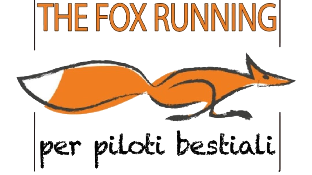 TheFoxRunning
