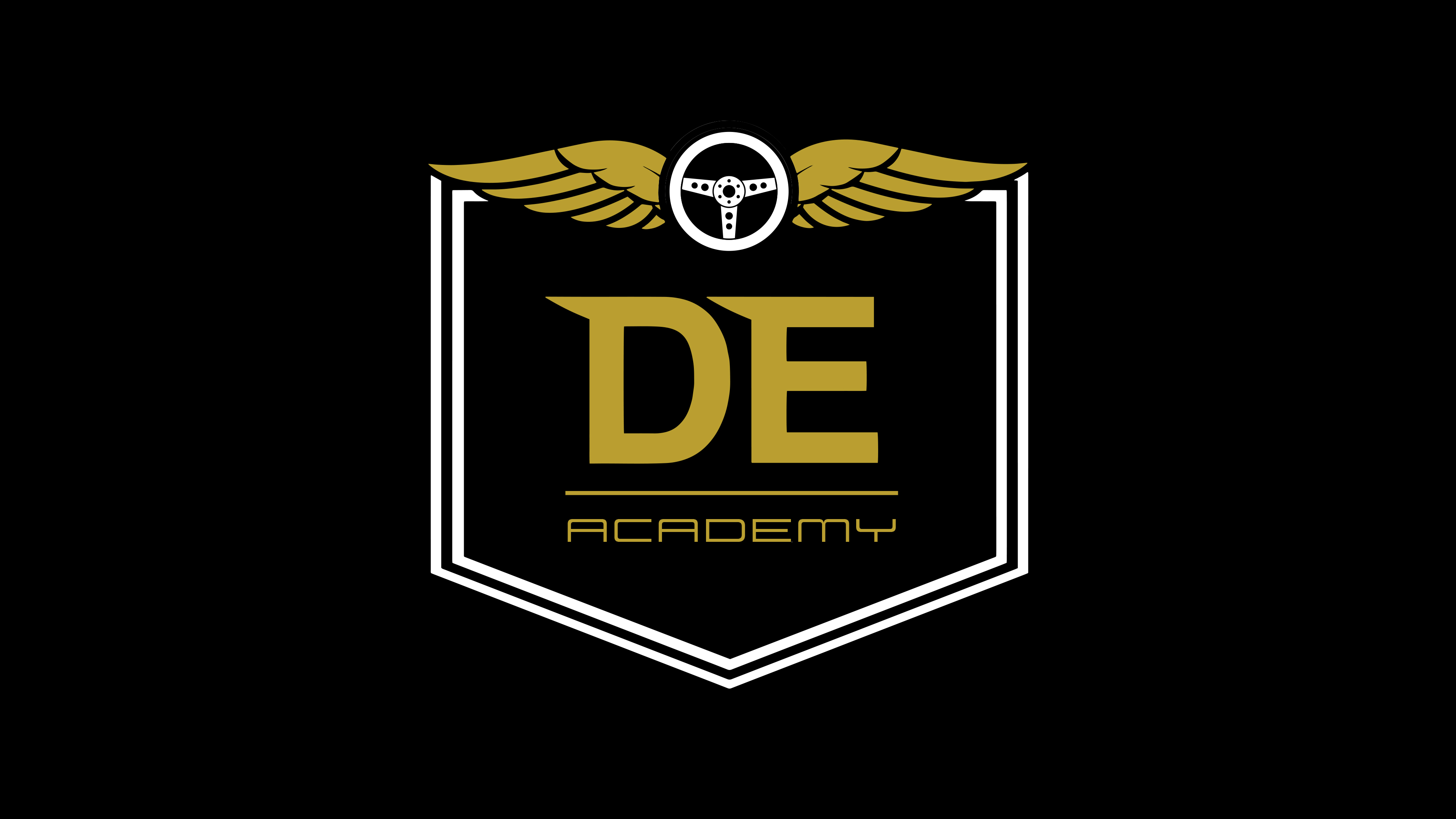 Drive Experience - logo